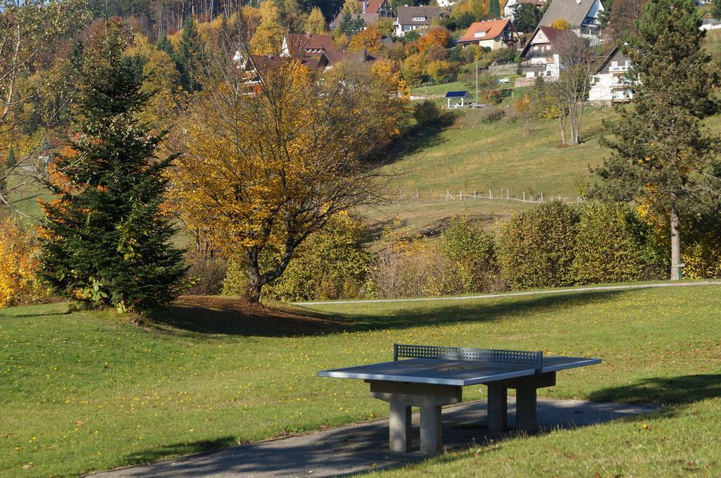 Terrassenpark Apartments Sasbachwalden Εξωτερικό φωτογραφία