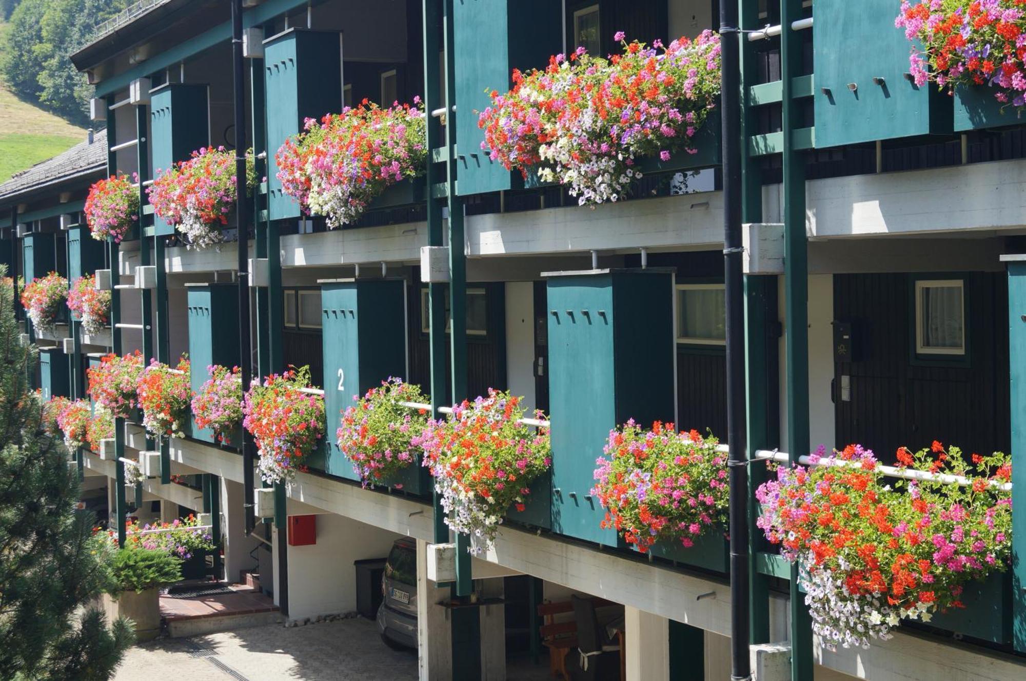 Terrassenpark Apartments Sasbachwalden Εξωτερικό φωτογραφία