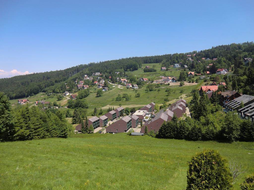 Terrassenpark Apartments Sasbachwalden Δωμάτιο φωτογραφία
