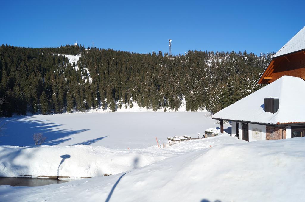 Terrassenpark Apartments Sasbachwalden Δωμάτιο φωτογραφία