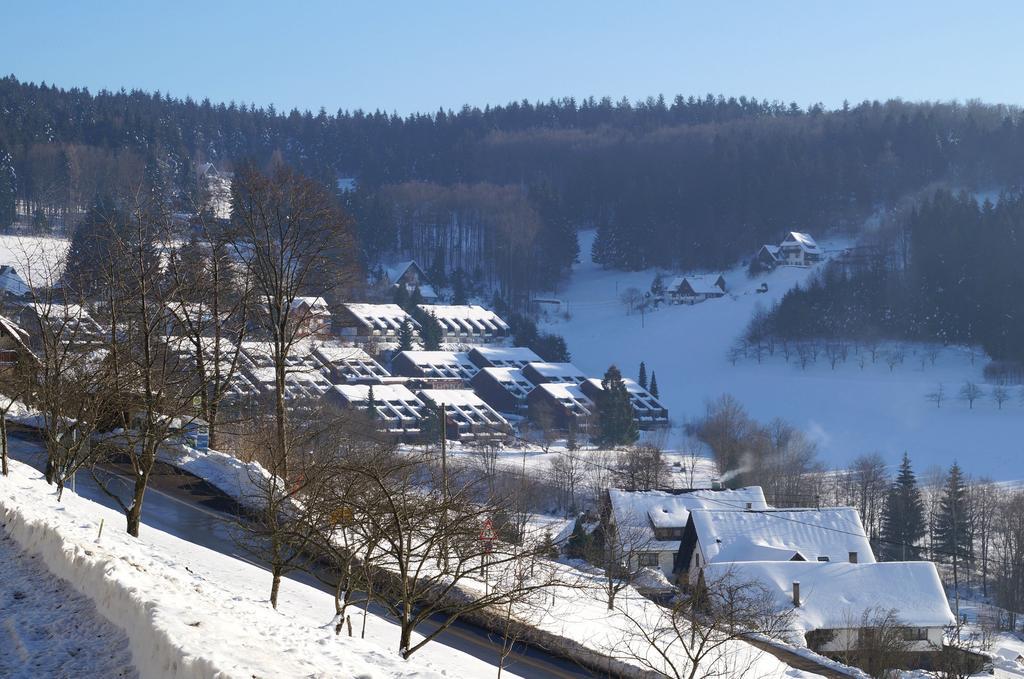 Terrassenpark Apartments Sasbachwalden Δωμάτιο φωτογραφία