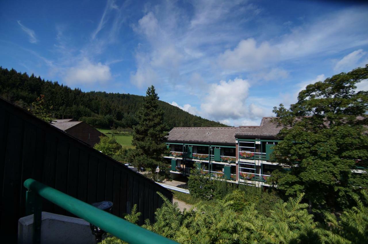Terrassenpark Apartments Sasbachwalden Εξωτερικό φωτογραφία